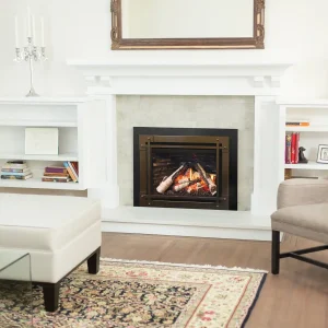 G3.5 Gas Insert for Reliable Home Heating