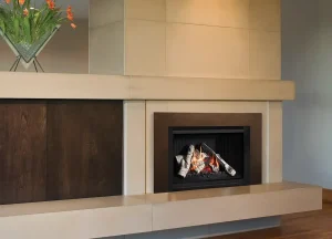 g4 efficient gas insert