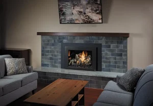 616 deluxe gas insert
