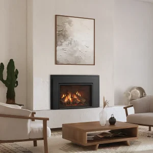 Enviro Ri30 Gas Fireplace Insert Fire-Under-Log