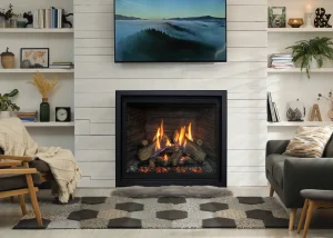 enviro rz41 gas fireplace