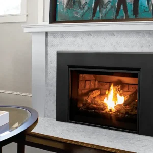 enviro e25 gas fireplace insert
